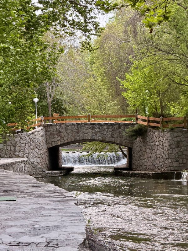 🌿 طبیعت بهاری باغ وکیل آباد مشهدبهار ۱۴۰۵⛈️هواشناسی خصوصی
